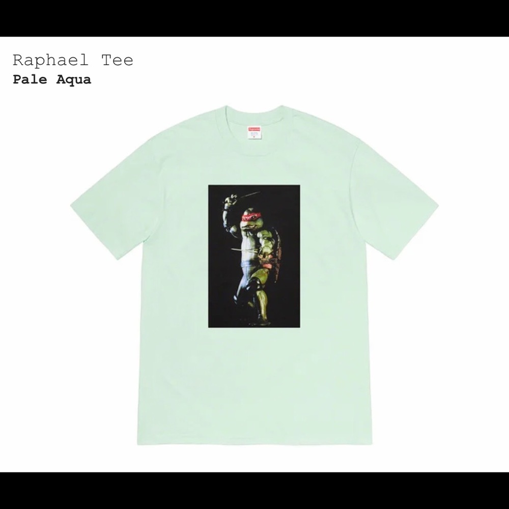 Supreme Raphael Tee (Pale Aqua)